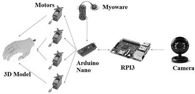 A Hybrid 3D Printed Hand Prosthesis Prototype Based on sEMG and a Fully Embedded Computer Vision System